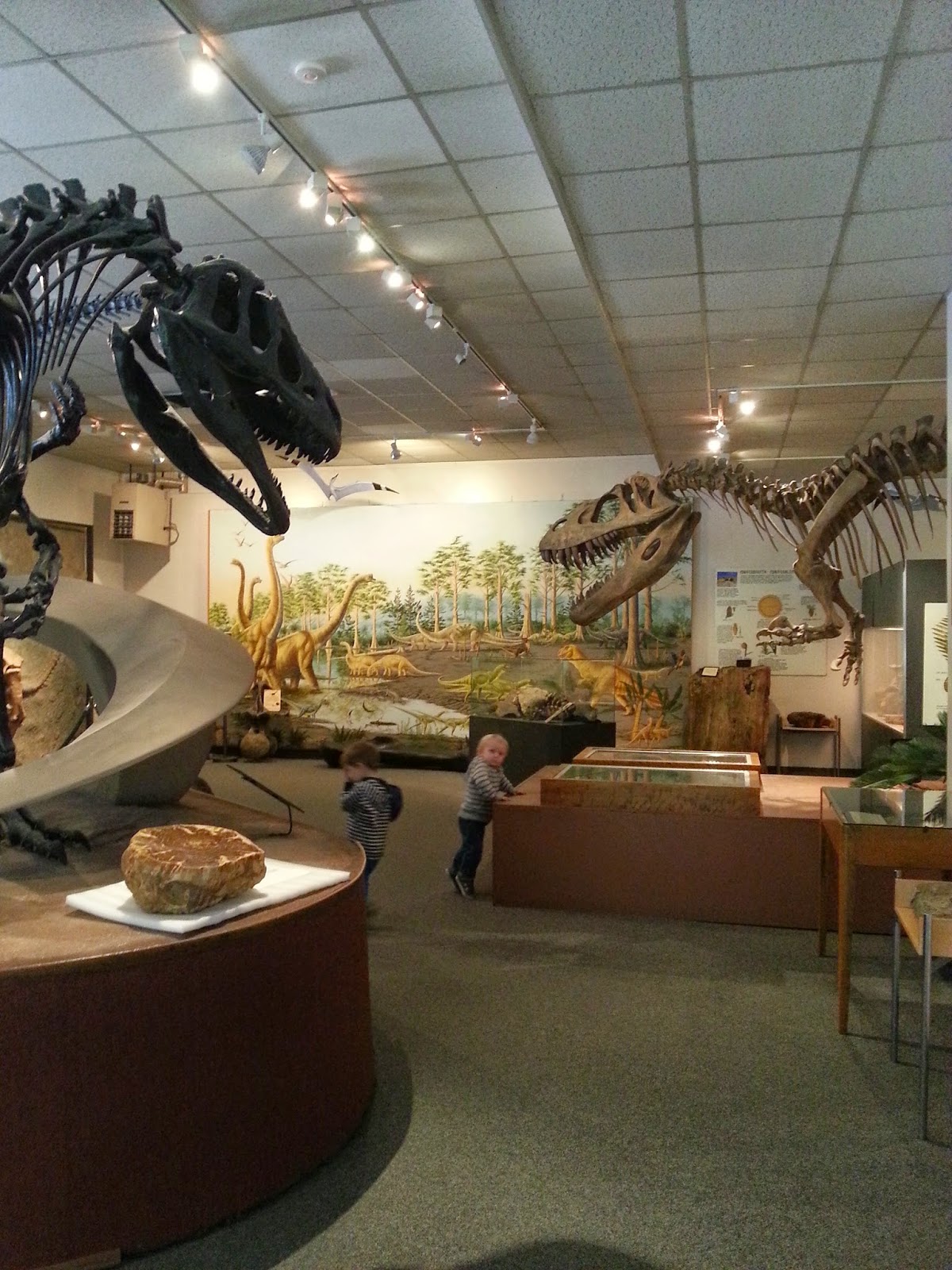 Olives Having Fun BYU Museum of Paleontology