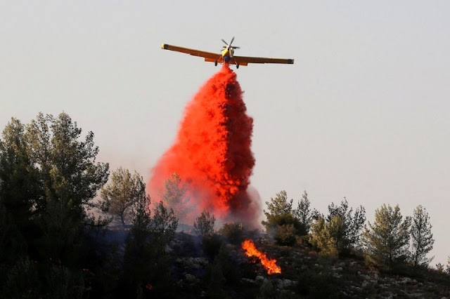 Israel Kebakaran Hutan, 60 Ribu Warganya di Evakuasi Petugas 