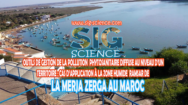 Outils de gestion de la pollution phytosanitaire diffuse au niveau d'un territoire : cas d'application zone humide Ramsar de la Merja Zerga au Maroc