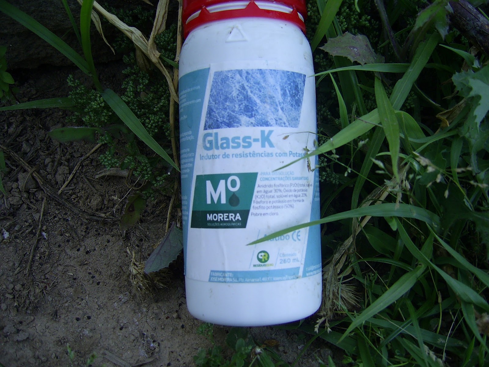 GlassK, o substituto biológico do sulfato A Horta e a Cidade