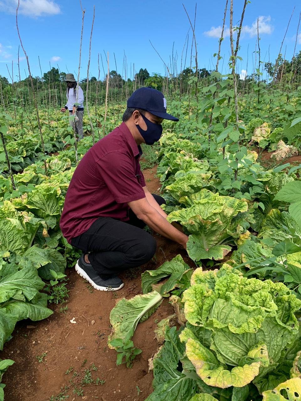 Gambar Kelompok Tani di Maluku