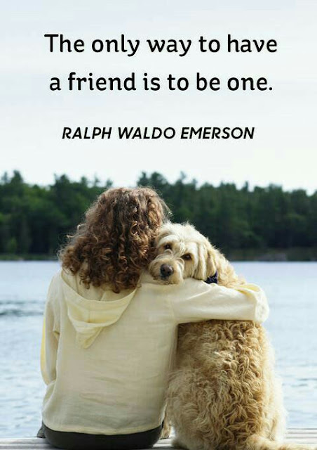 Friendship Quotes pics