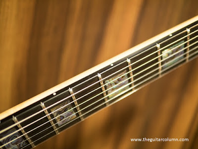 Vader V6X ebony fingerboard and stainless steel frets Vader V6X ebony fingerboard and stainless steel frets