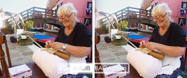 Hanya Orang yang Paling Jelih yang Dapat Temukan Perbedaan Di Tiap Gambar Ini, Berani Coba?