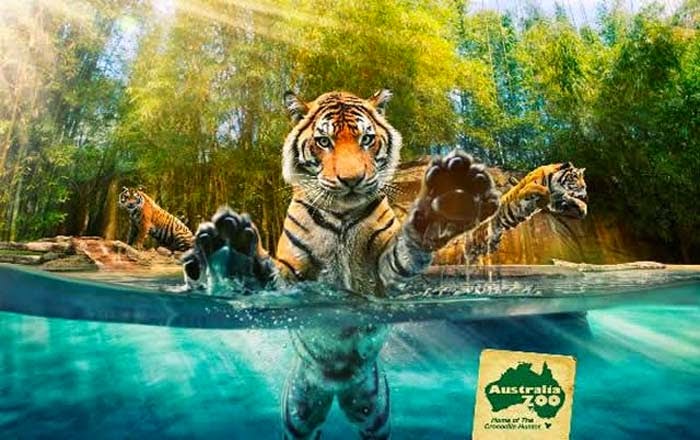 10 of the World's Most Famous Zoos - Australia Zoo, Sunshine Coast, Australia 10 of the World's Most Famous Zoos - Sunshine Coast, Australia