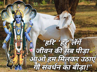 गौ माता स्लोगन - गौ माता स्टेटस - हिंदी में पढ़ें - gau mata status in hindi गौ माता स्लोगन - गौ माता स्टेटस - हिंदी में पढ़ें - gau mata status in hindi