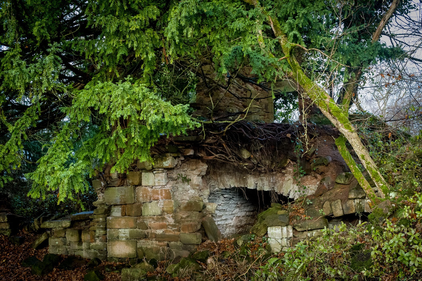 LesT Photos and News Walking Group Boswell House Estate