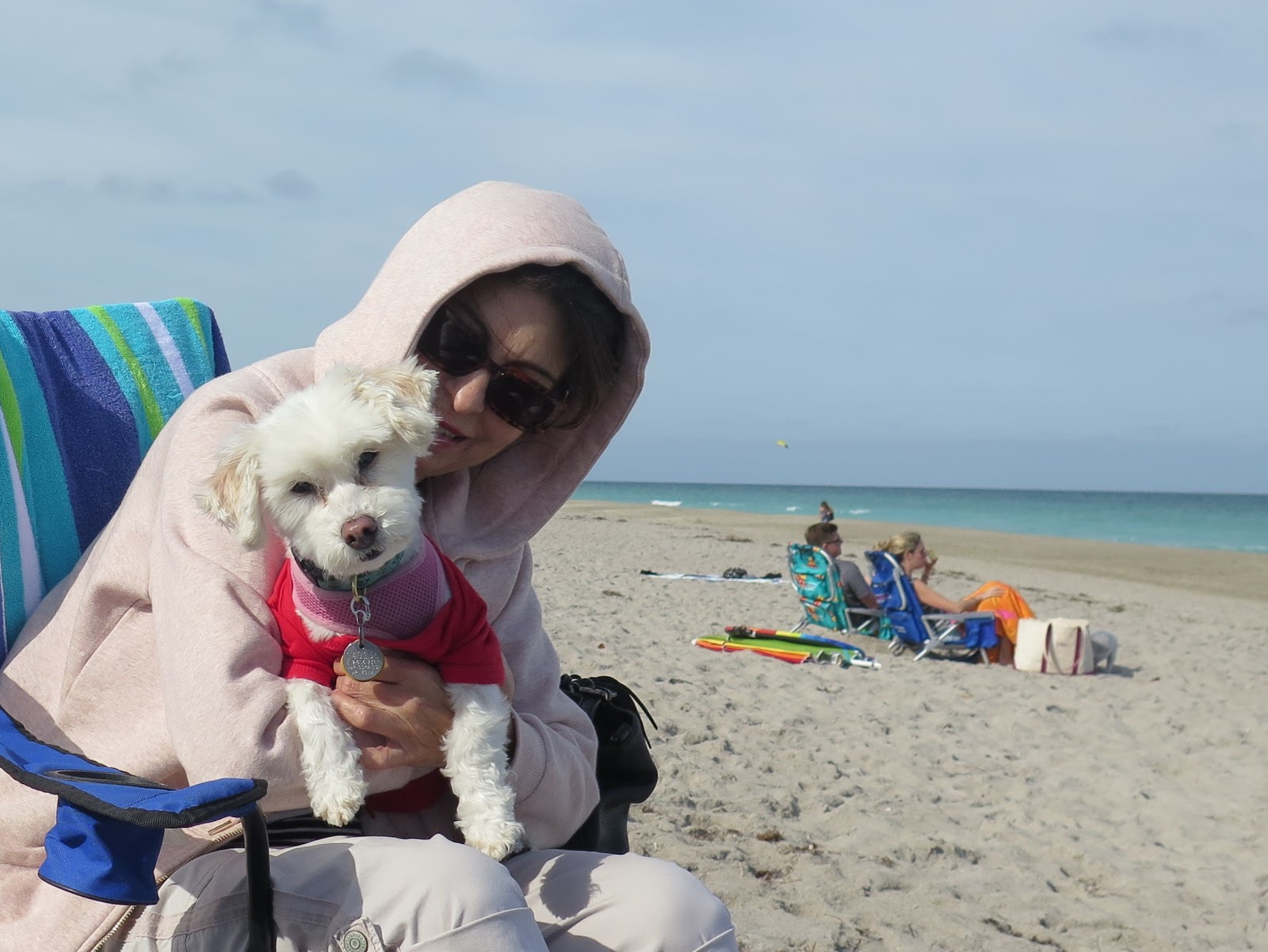Dogs Luv Us and We Luv Them THE BEST DOG FRIENDLY BEACHES IN SOUTH FLORIDA