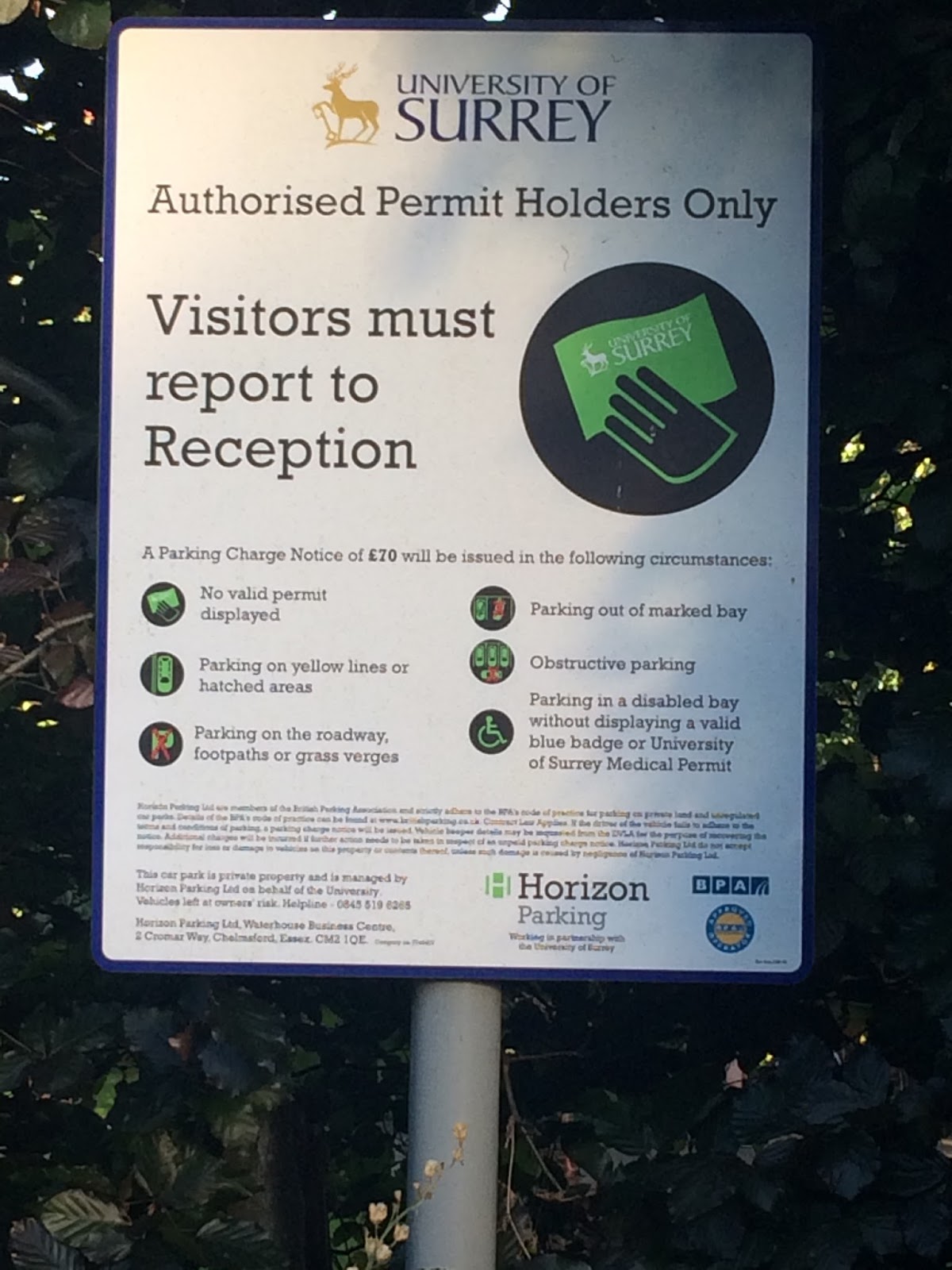 Parking Prankster Horizon Parking you've been Gladstoned (again)