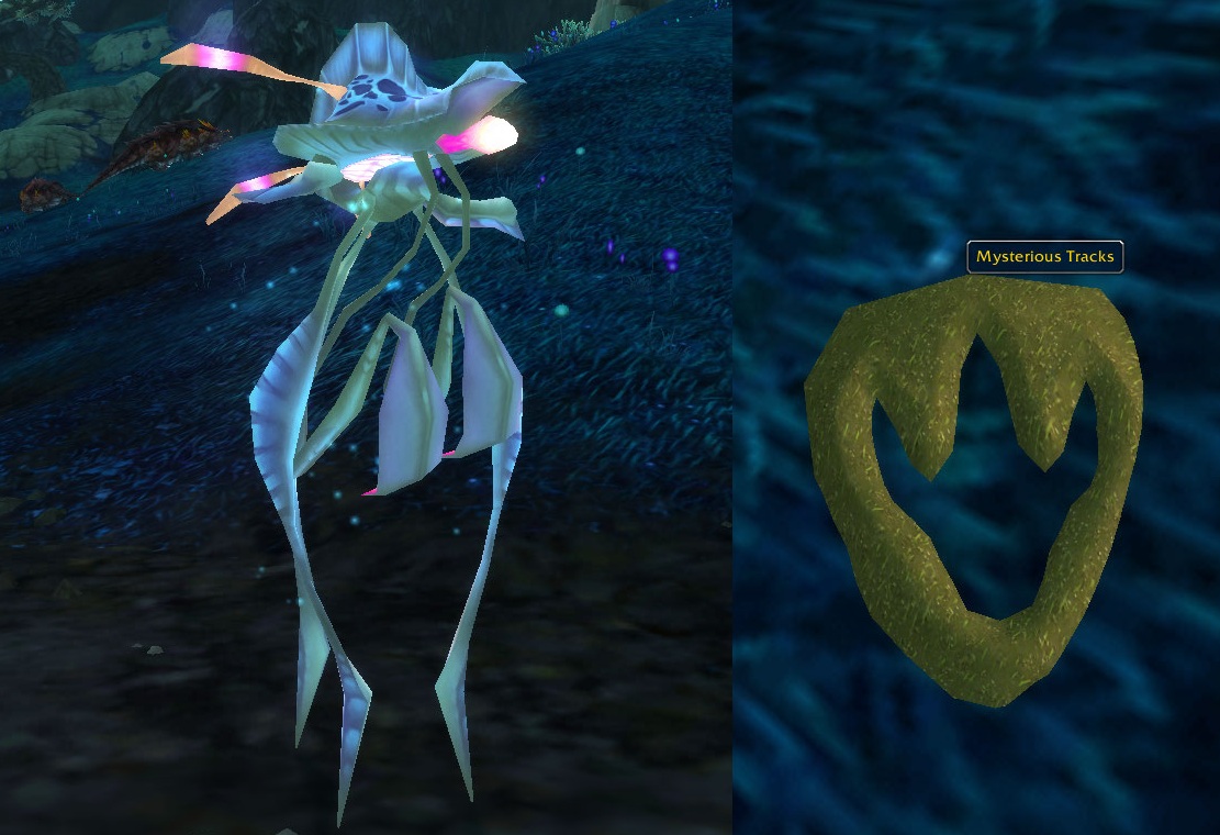 Cool Pets Other Than Cats And Dogs Cool Pets Other Than Cats And Dogs