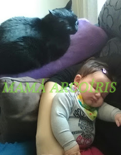 Amores que matan: mi hija y los gatos