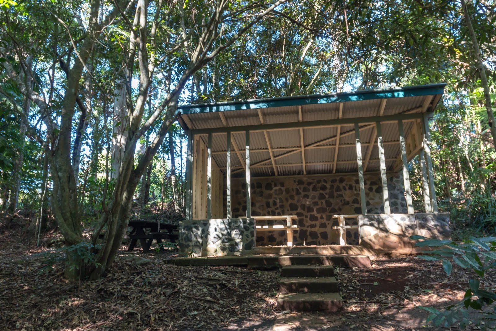 National Park Odyssey Tamborine Mountain, Tamborine National Park, QLD.