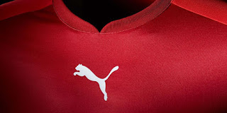 Puma PWR Puma PWR