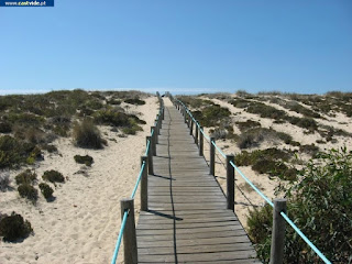 BEACH / Praia da Costa de Santo André, Santiago do Cacém, Portugal BEACH / Praia da Costa de Santo André, Santiago do Cacém, Portugal