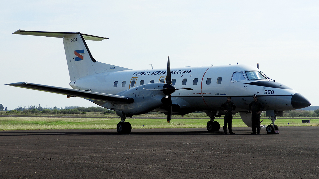 Fuerza Aerea Uruguaya Logo