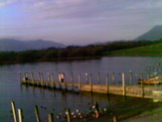 IMAG0036.JPG