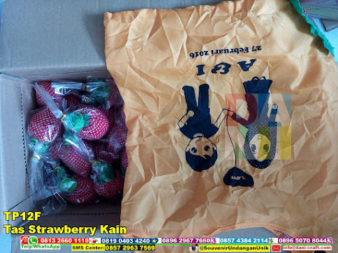 jual Tas Strawberry Kain