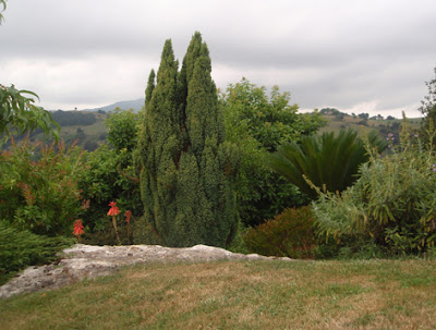 jardín en agosto