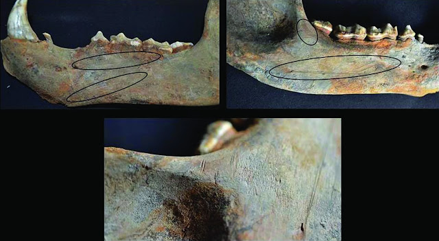 Keep your head high – the Stone Age in a new light Keep your head high – the Stone Age in a new light