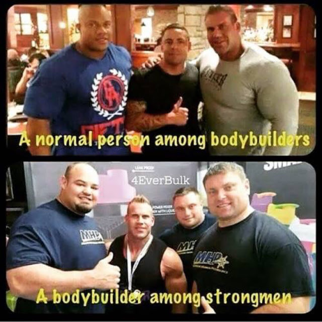 STRENGTH FIGHTER™ Bodybuilders vs Strongmen