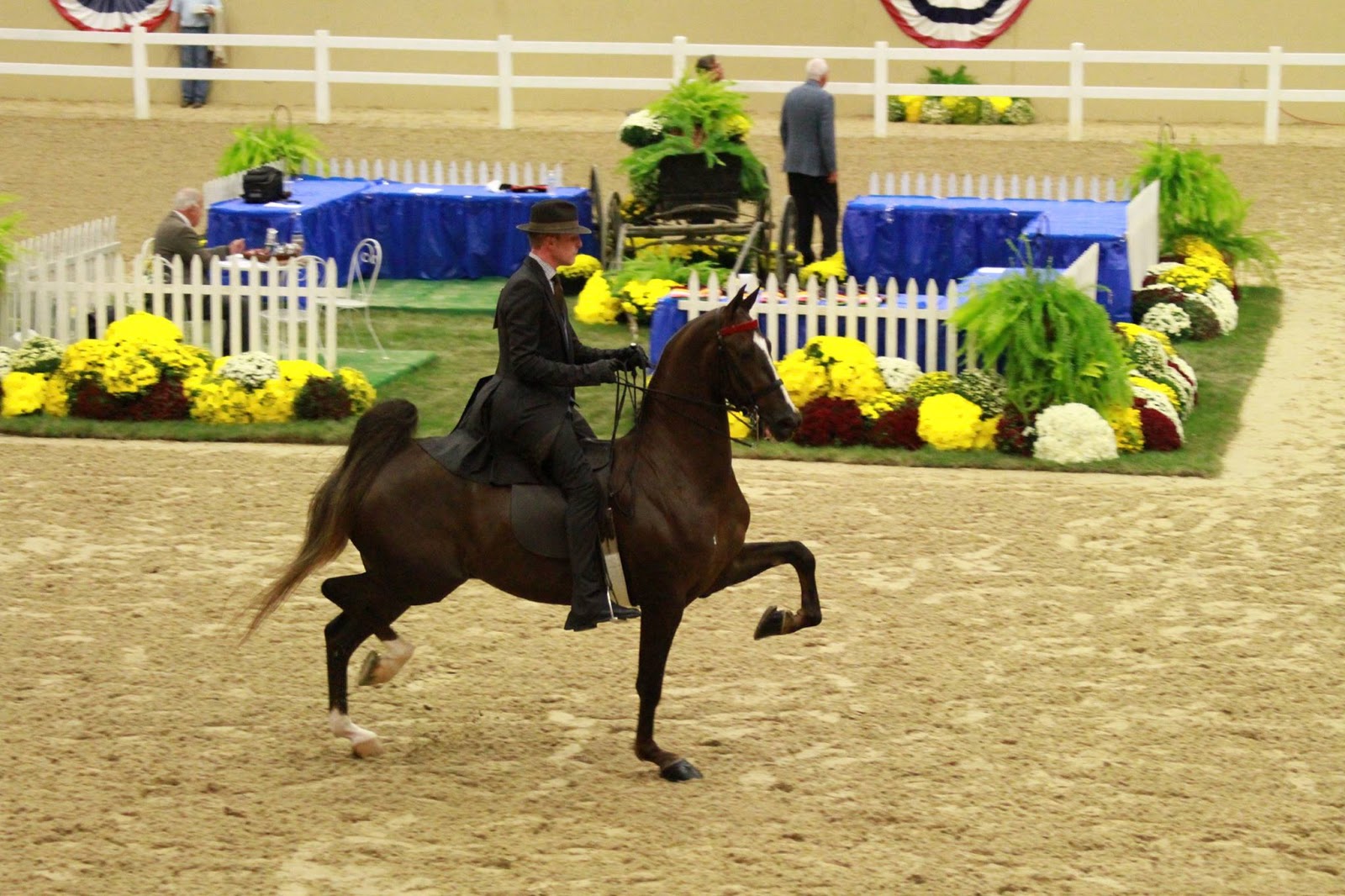The American Saddlebred 10/3/15 Kentucky Fall Classic Horse Show