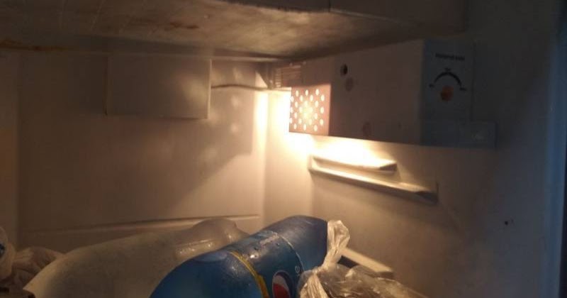 Cara Memperbaiki Lampu Kulkas Yang Mati Sendiripun Bisa Maraska