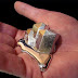 Gallium Is A Metal That Melts In Your Hands