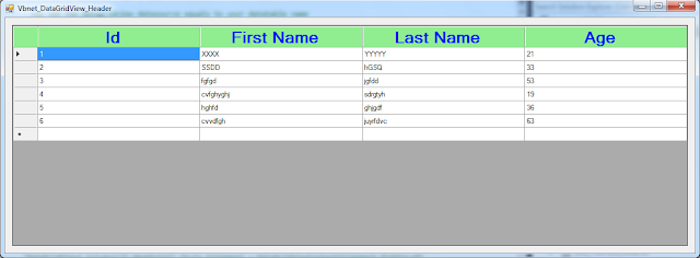Customize Datagridview Columns Header In Visual Basic.Net