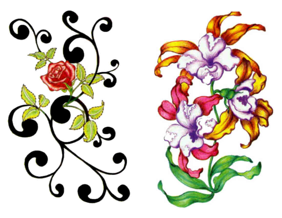 цветочно растительный орнамент. цветочный орнамент в цвете. орнамент цветы. стилизованные растения в цвете. орнамент цветы.