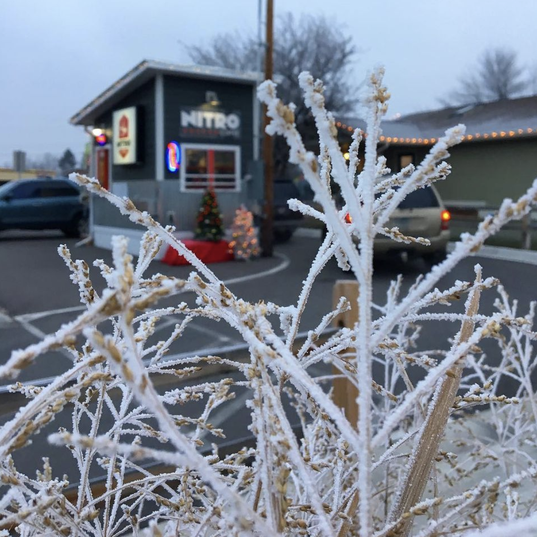 Cozy Coffee Shops in Missoula