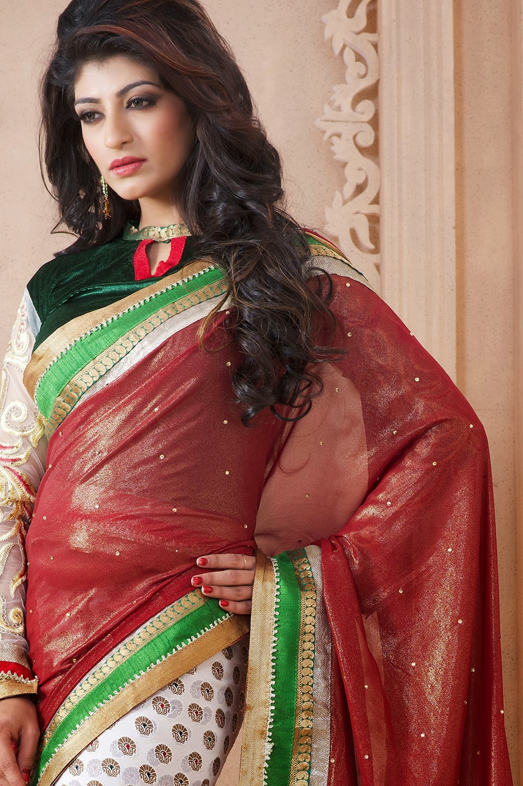 winter wedding saree
