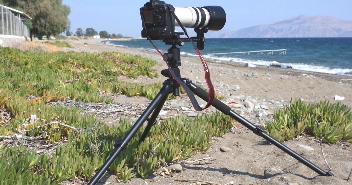 Canon support darelotaste
