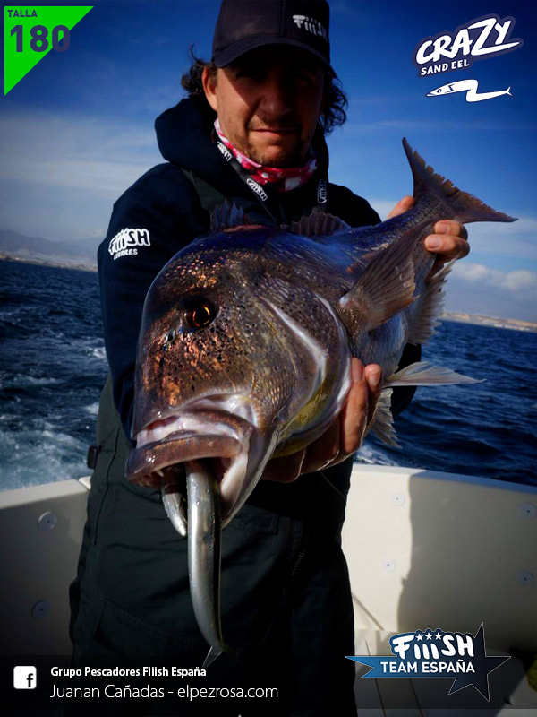 Crazy Sand EEL Köder - 12cm 5.5g Für Sportfischerei