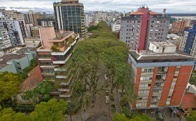 Rua Goncalo de Carvalho is a street located in Porto Alegre, the capital and largest city in the Brazilian state of Rio Grande do Sul. Flanked by trees on either side, the street became internationally known after a campaign for its preservation spread on the Internet leading it to be dubbed "the most beautiful street in the world".