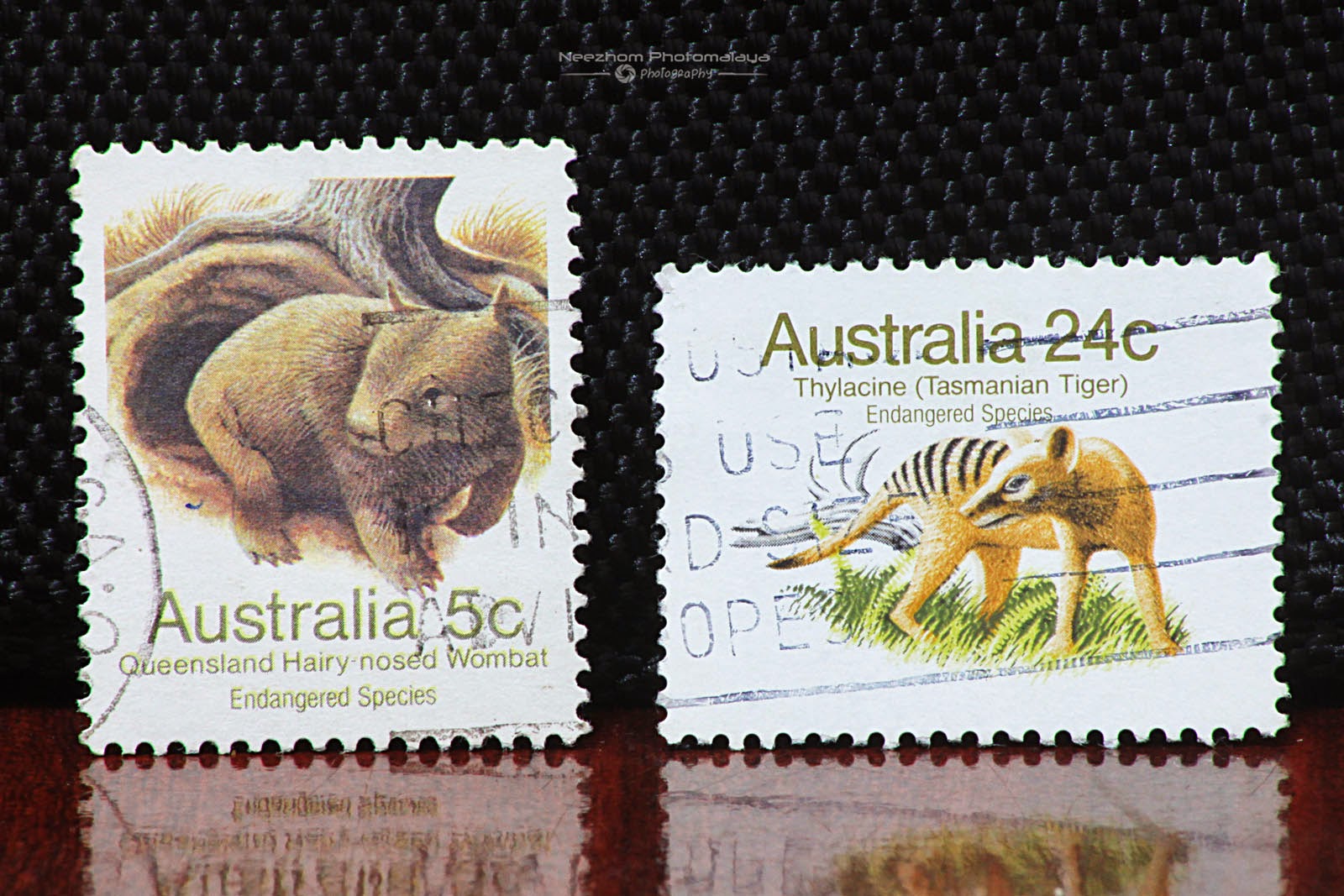 Australia 1981 Endangered Species stamps Neezhom