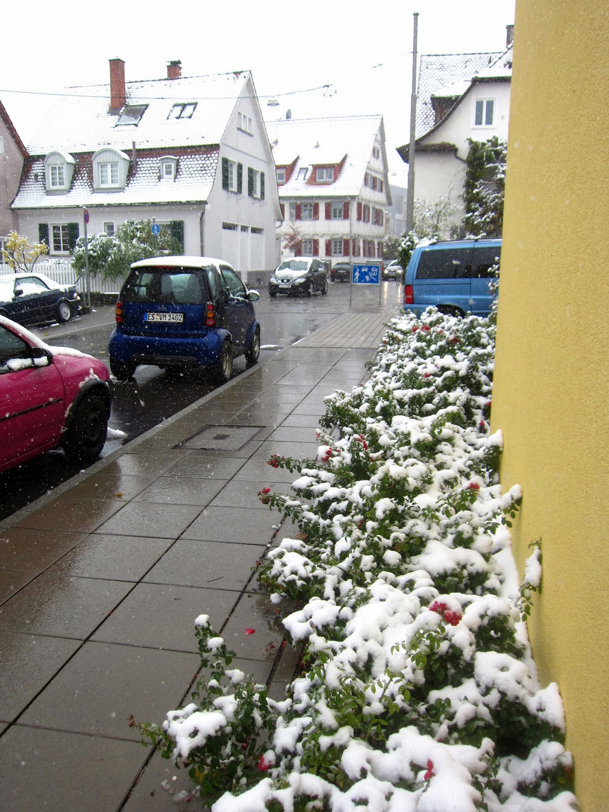 Where Is Darren Now? Stuttgart's First Snow