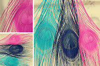 colored+feathers+%25282%2529
