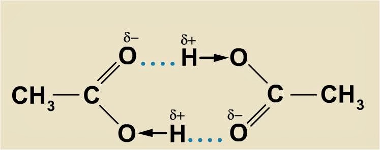 Водородная кислота формула. Димеры карбоновых кислот. Димер карбоновых кислот. Водородные связи между молекулами карбоновых кислот. Водородные связи между карбоновыми кислотами.
