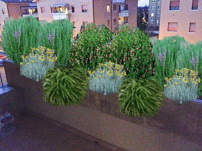 progetto balcone con piante sempreverdi