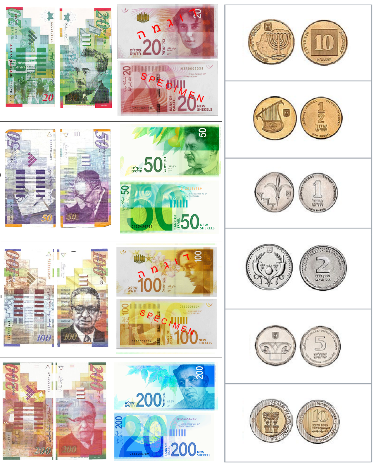 the israeli shekel the israeli shekel