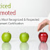 Role of Project Management in Today’s Business Environment