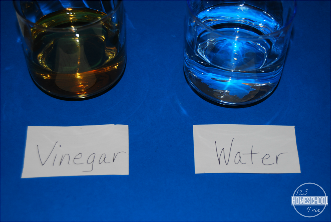 Jelly Bean STEM for Kids Engineering a Rainbow