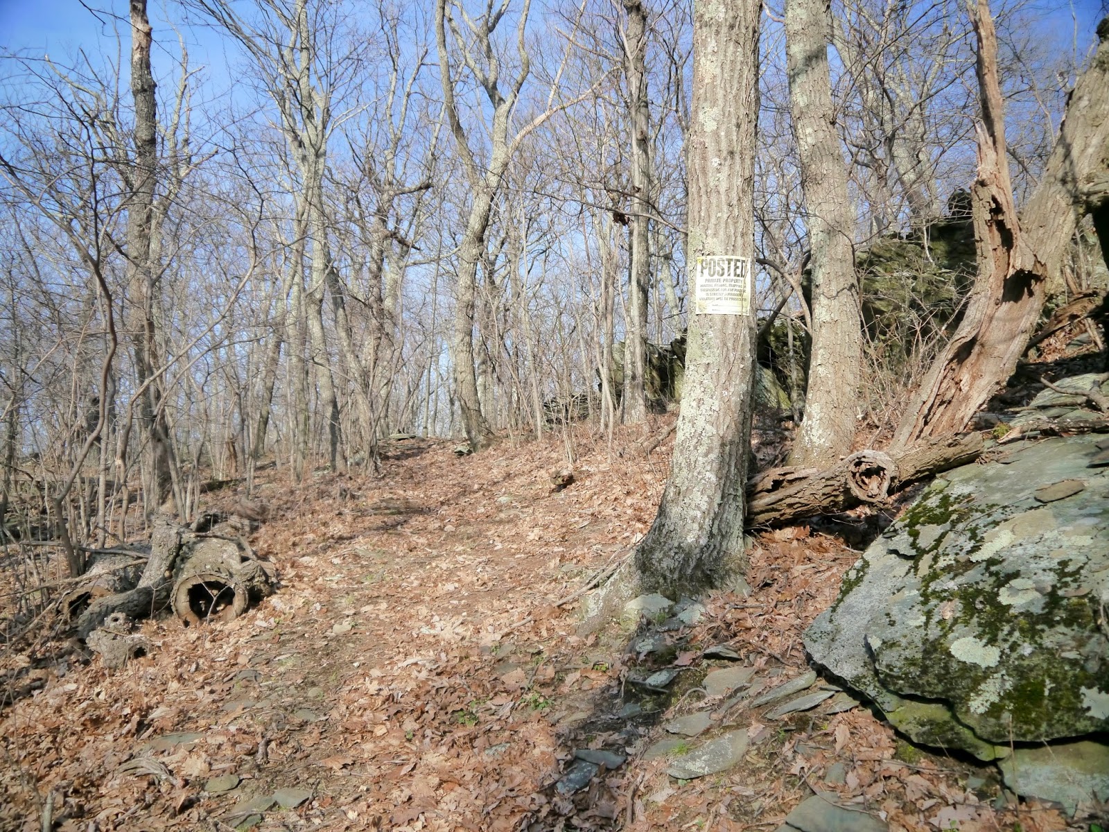 American Travel Journal Rockfish Gap to McCormick Gap Appalachian