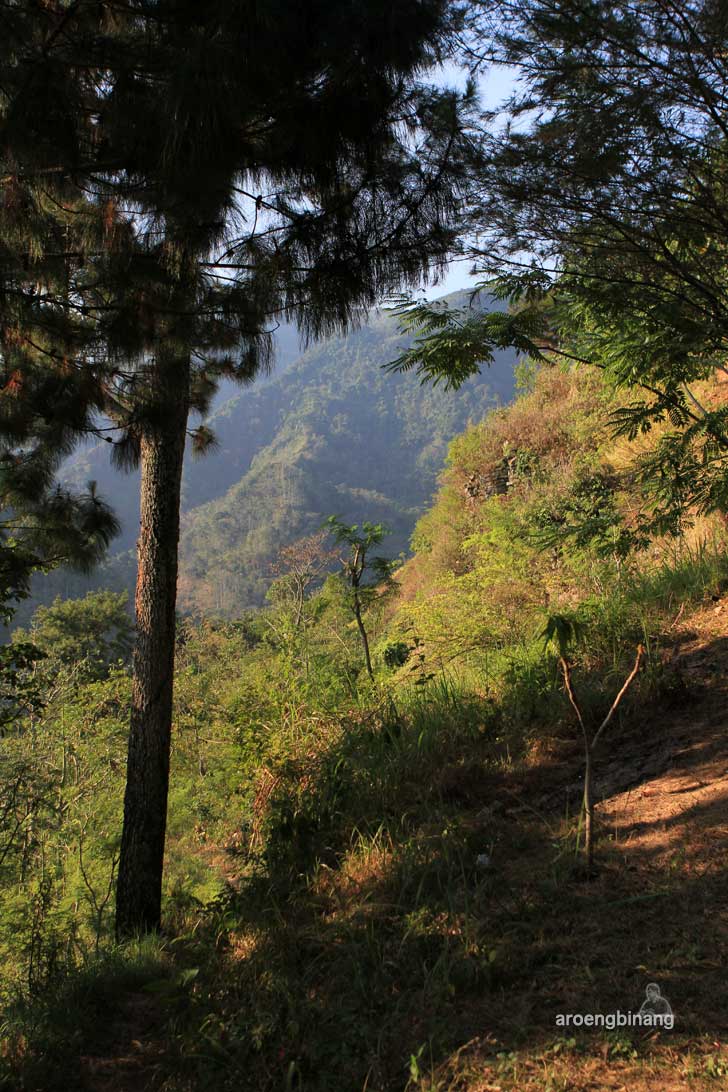 bumi perkemahan wana wisata kajar kudus