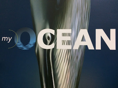 myocean