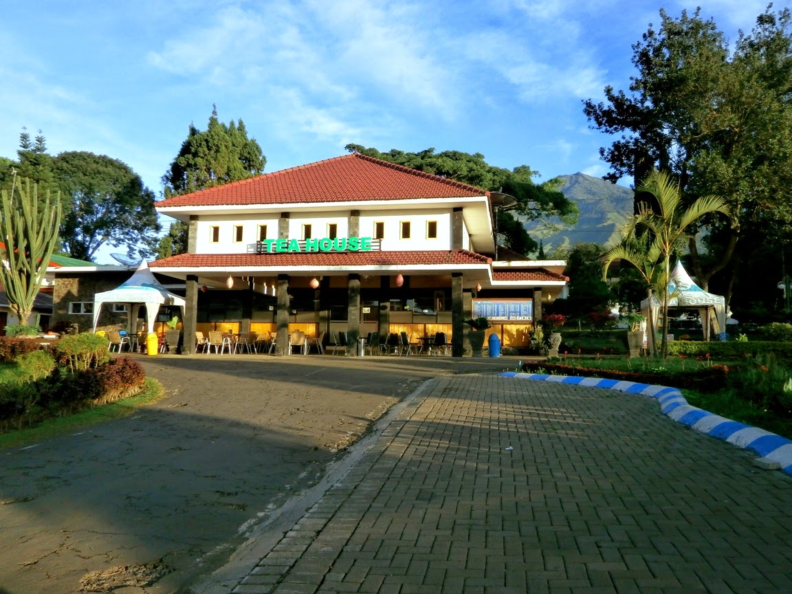 Gambar Penginapan Murah Di Kebun Teh Lawang
