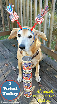 patriotic senior rescue hound dog