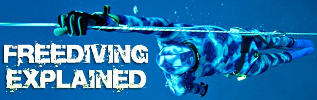Freediving Explained -  How to Freedive Manual