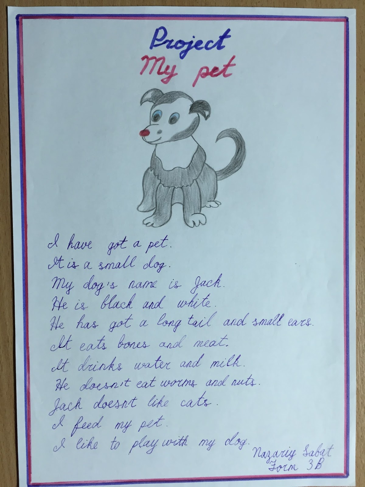 My pet английский 5 класс. Проект my Pet. Проект по английскому my Pet. Сочинение my Pet. Проект my Pet на английском языке 3 класс.
