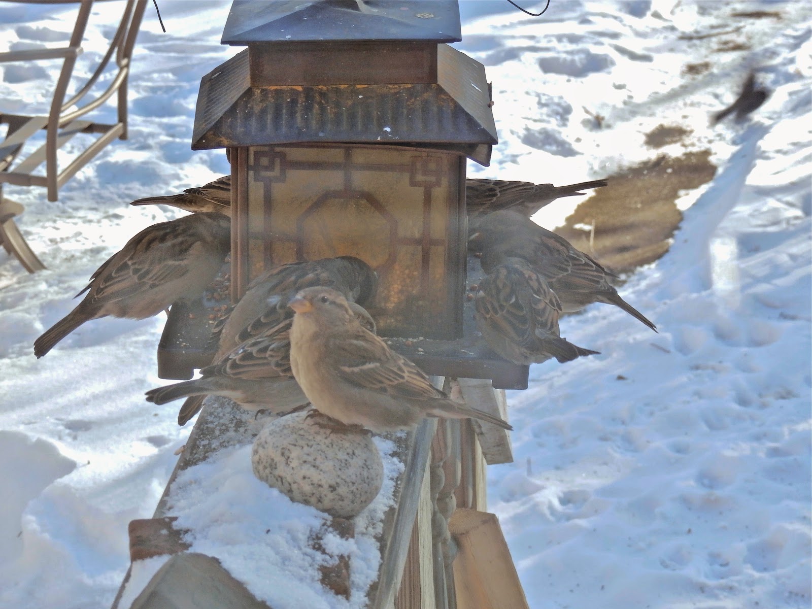 Larry's Creative Zone Slow as Molasses in